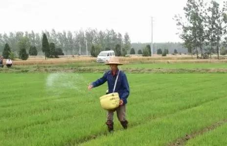 为什么复合肥都含氯,复合肥氯离子超标