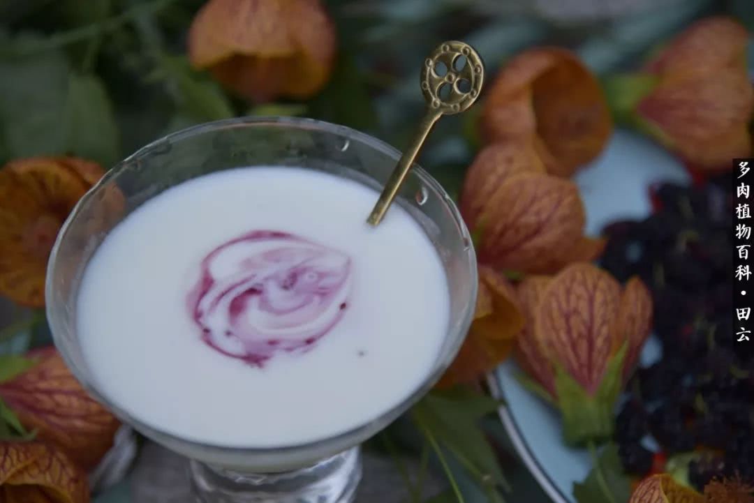 推开世界的门和自己和解,推开世界的门你所看到的风景