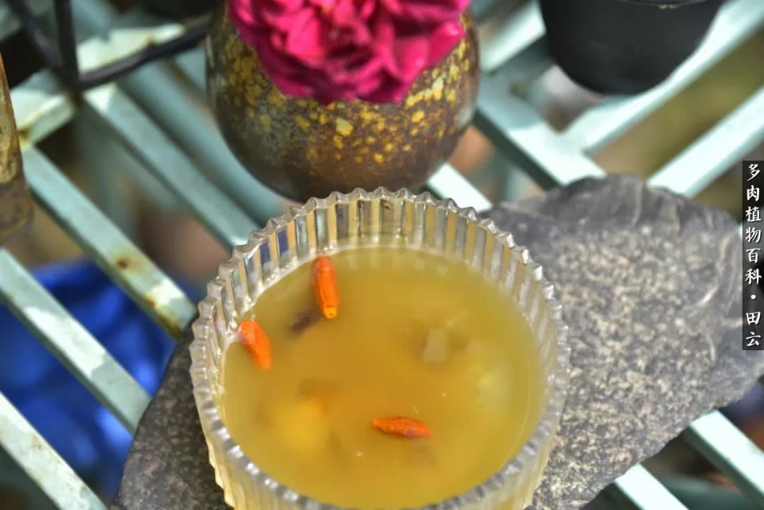 推开世界的门和自己和解,推开世界的门你所看到的风景