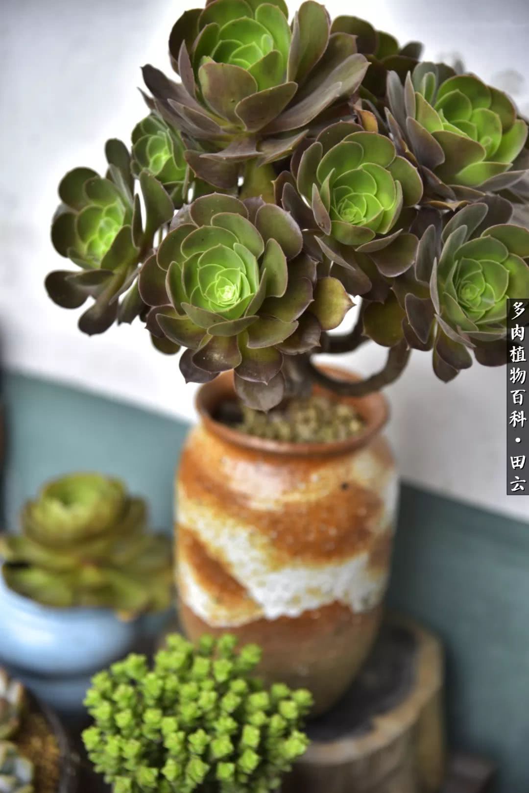 推开世界的门和自己和解,推开世界的门你所看到的风景