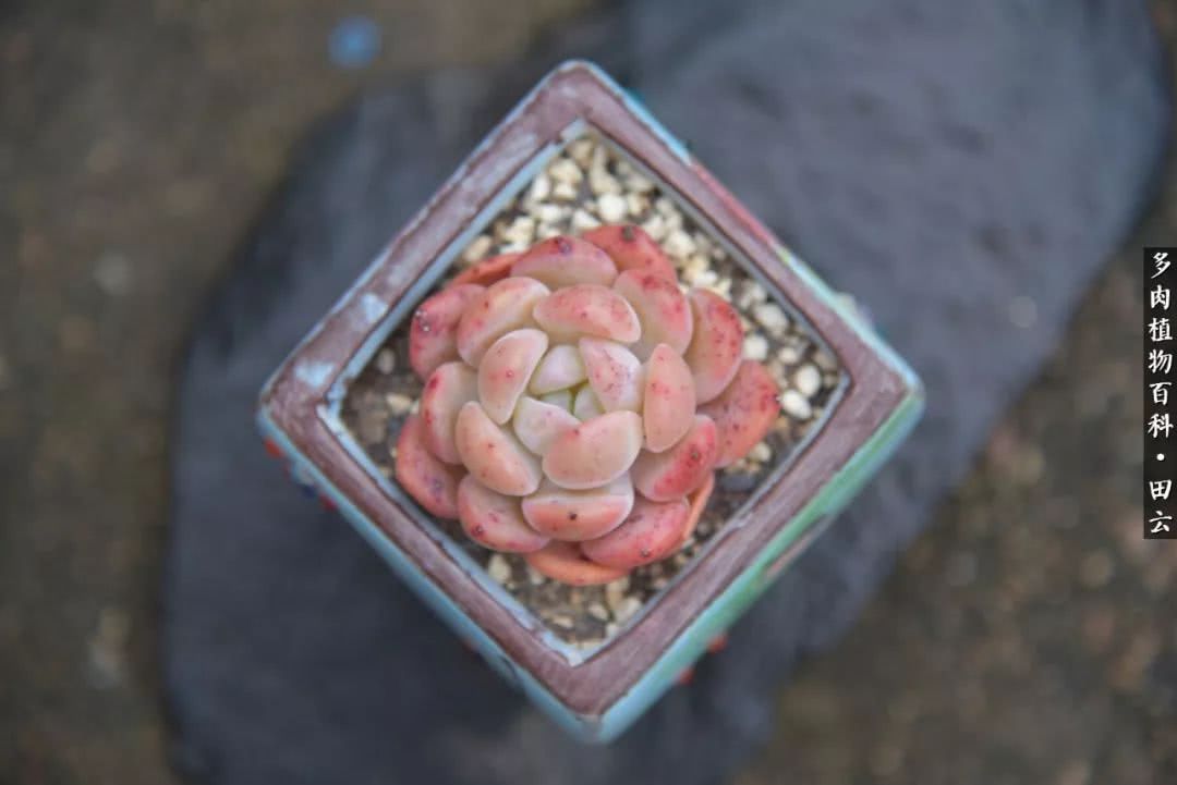 推开世界的门和自己和解,推开世界的门你所看到的风景