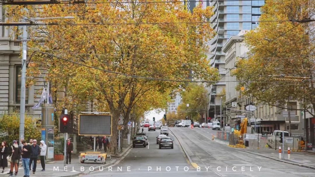 “新晋男友”李现代言的这个南半球网红城市，6月往返只需¥3000