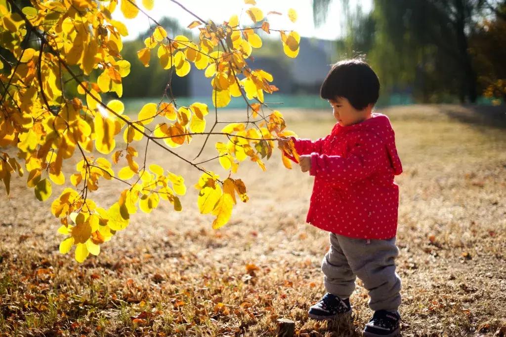 这就是最好的口袋机索尼黑卡RX100M6首发评测