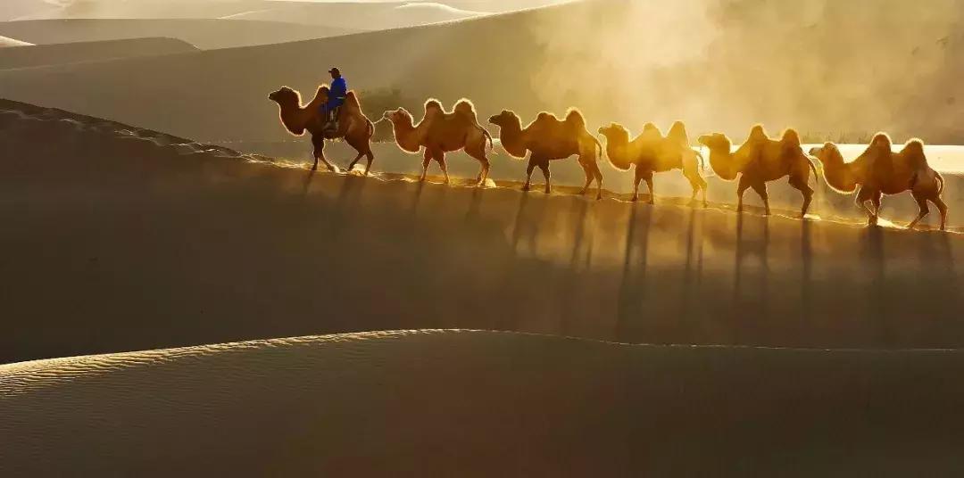 习*平近**的“上合路线图”