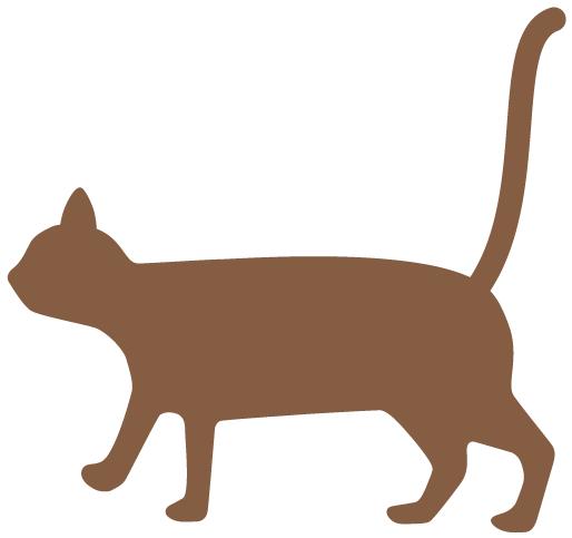 水光针涂抹式精华液人气版,有一种水光针是涂抹式的好不好