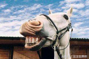 世界杯黑马猜想,世界杯2018猜想