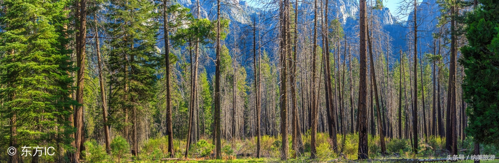 美国旅游十大名胜,美国旅游十大自然景观推荐