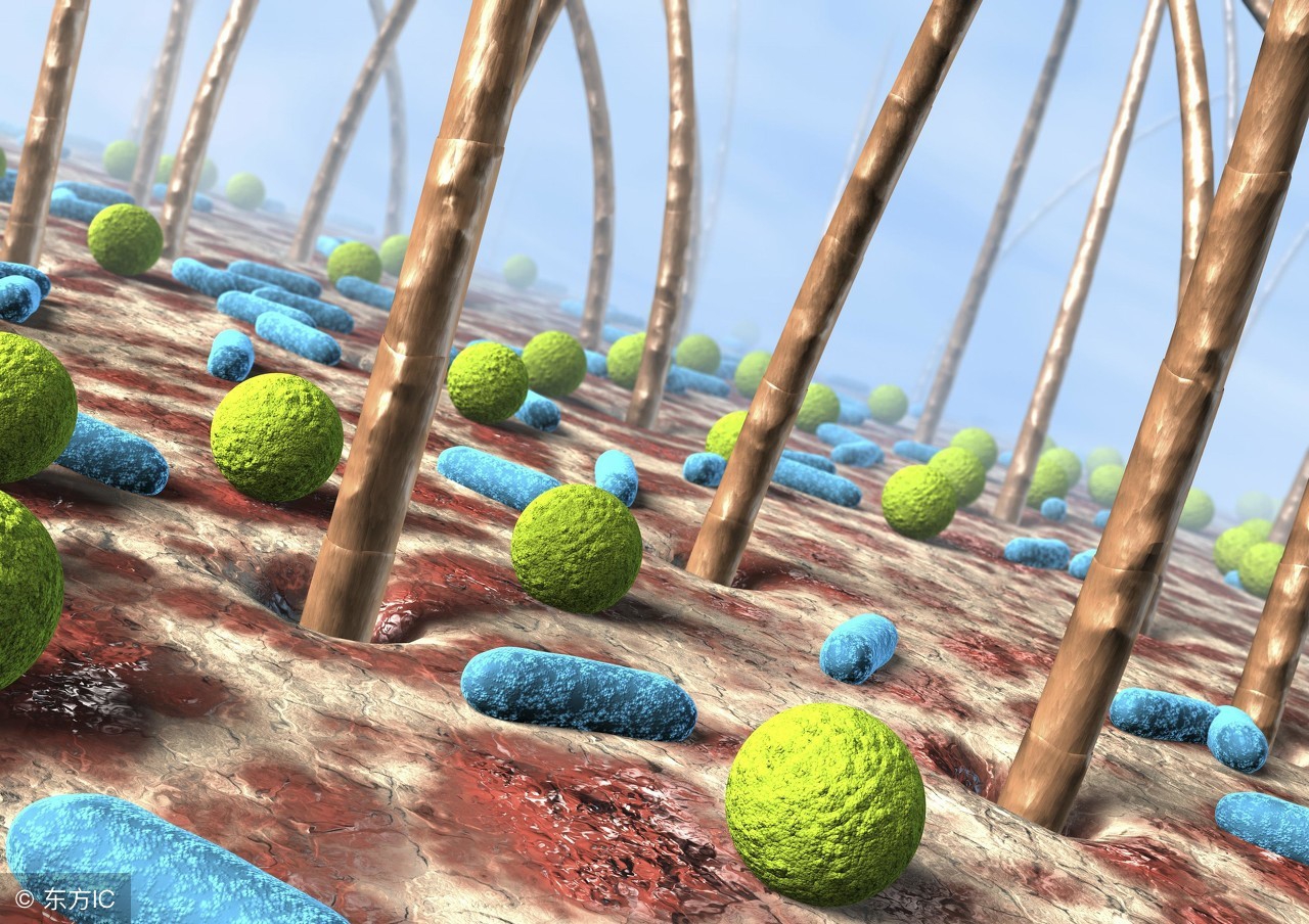 毛囊炎的症状是什么表现,毛囊炎发病时有哪些症状