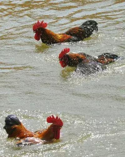 超有气氛的集体照图片,刚拍的你从未见过的集体照