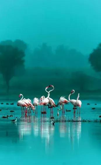 刚拍的你从未见过的集体照,史上最全的集体照