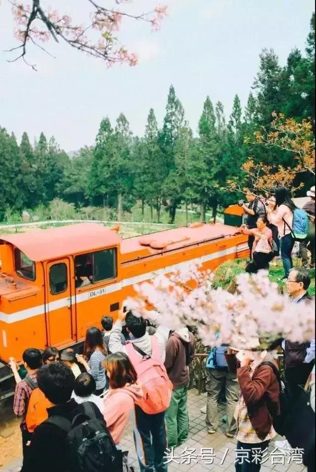 台湾阿里山是台湾最大的山吗,阿里山在台湾的什么地方