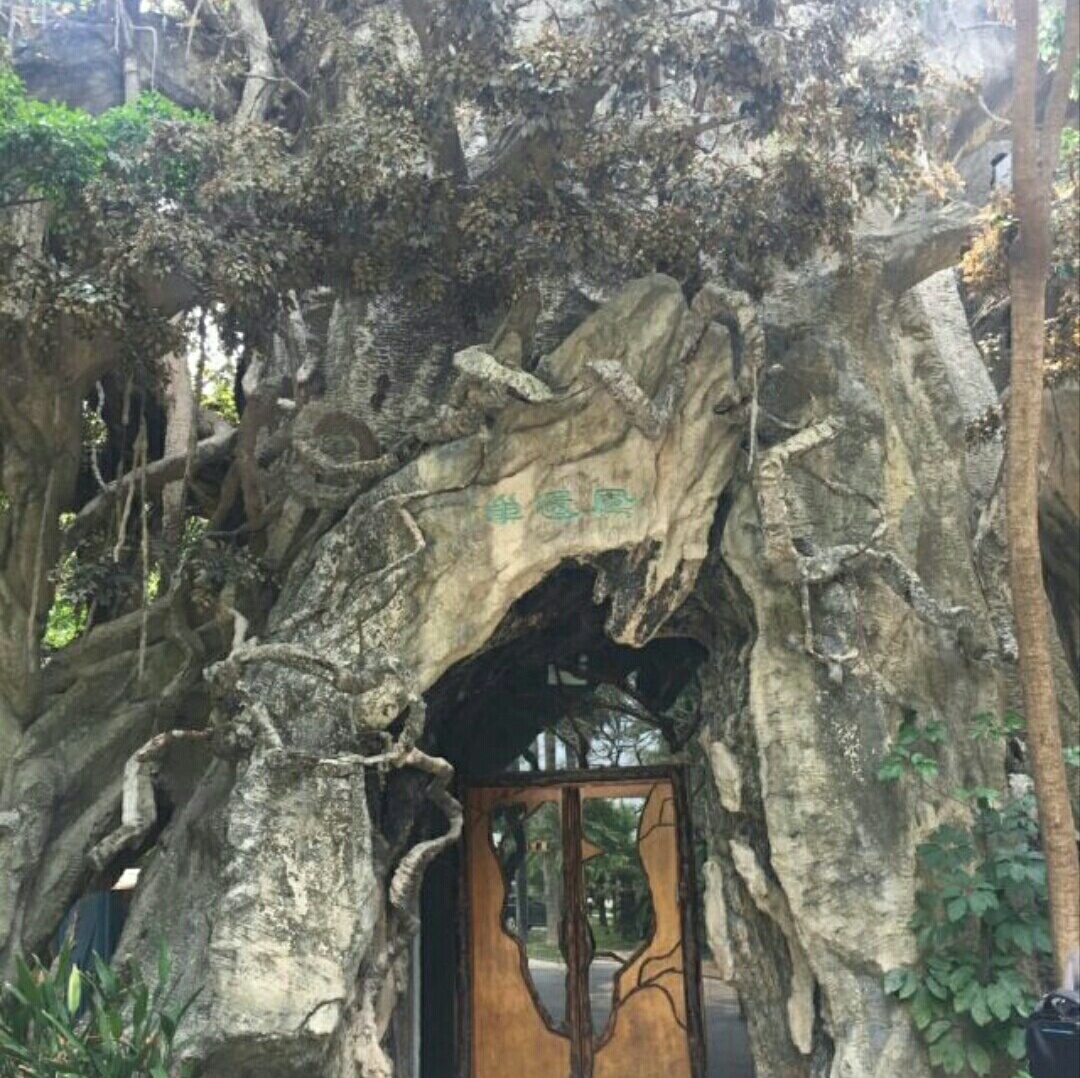 深圳海上田园怎么样,深圳海上田园景区