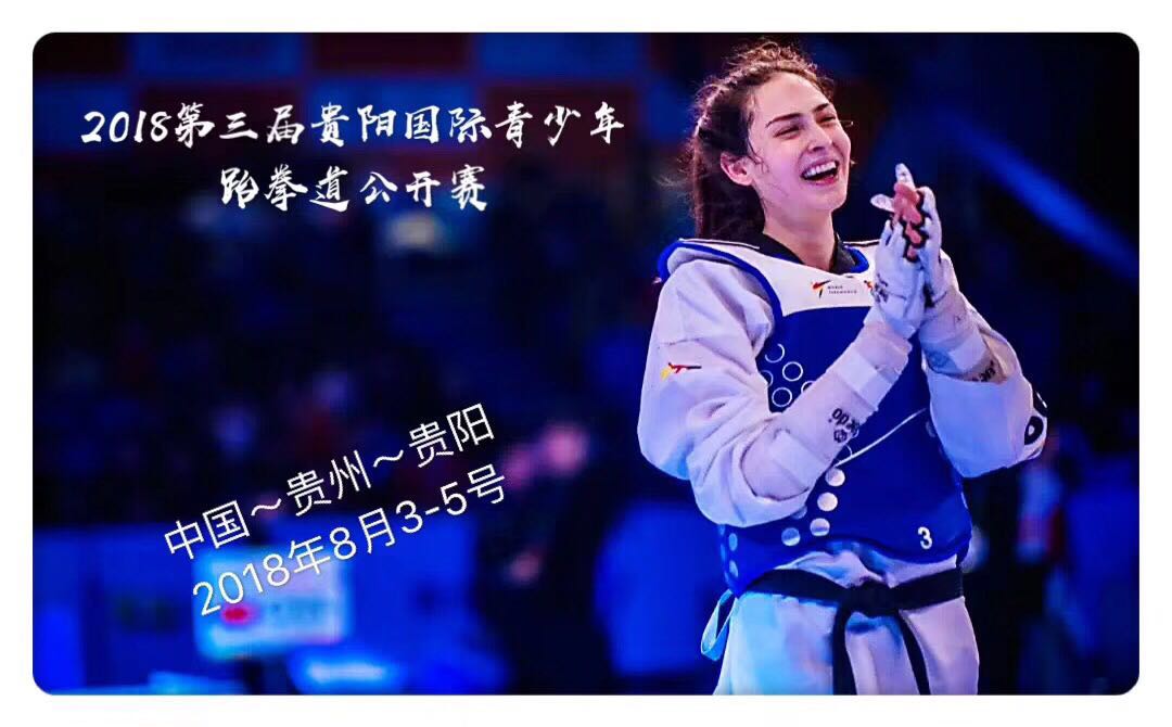贵州跆拳道大师,国际跆拳道大师
