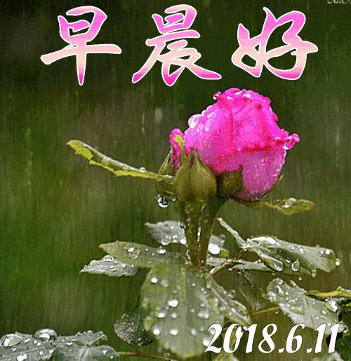 早上好祝你生活美好,早上好祝你新的一年幸福美满