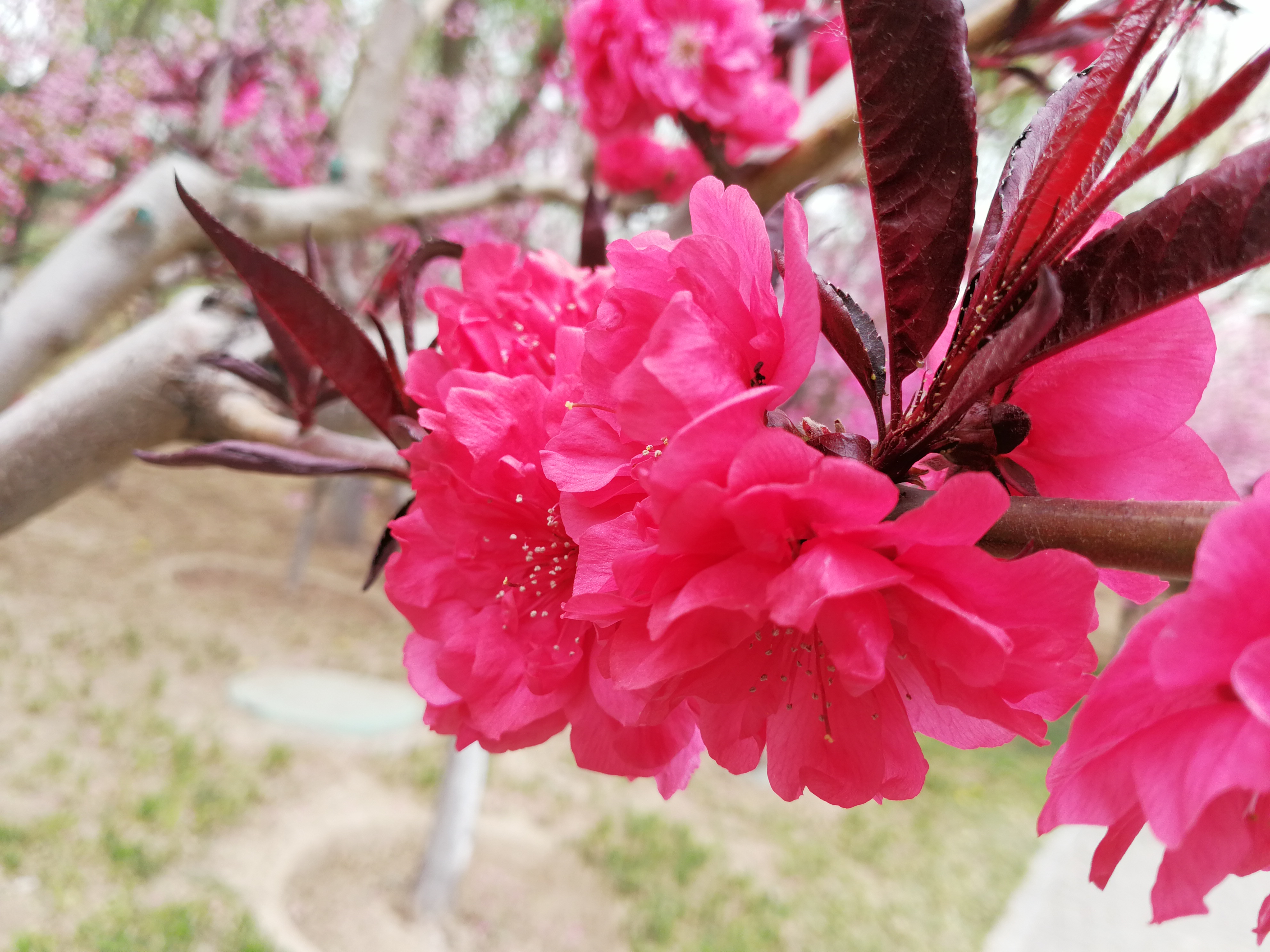 金融公司工资真的高吗,金融公司员工真实收入