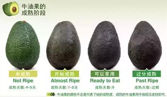 牛油果背后的罪恶,牛油果第一次进入中国