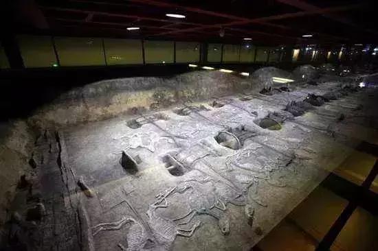 福利！湖北这些景区门票能免费、优惠！高考准考证别扔