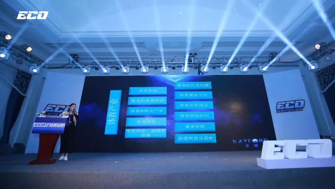 一只吉祥物,世界杯吉祥物杭州造