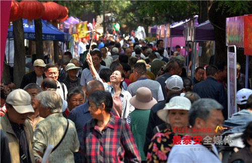 总有一张照片打动你,总有一张照片感动你