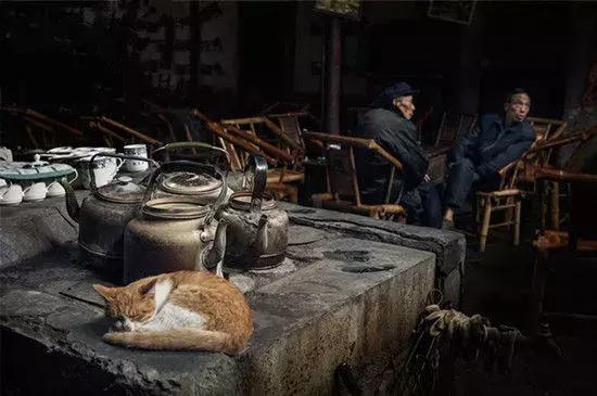 双流人公认的12大美女，一个比一个惊艳，简直是人间极品！