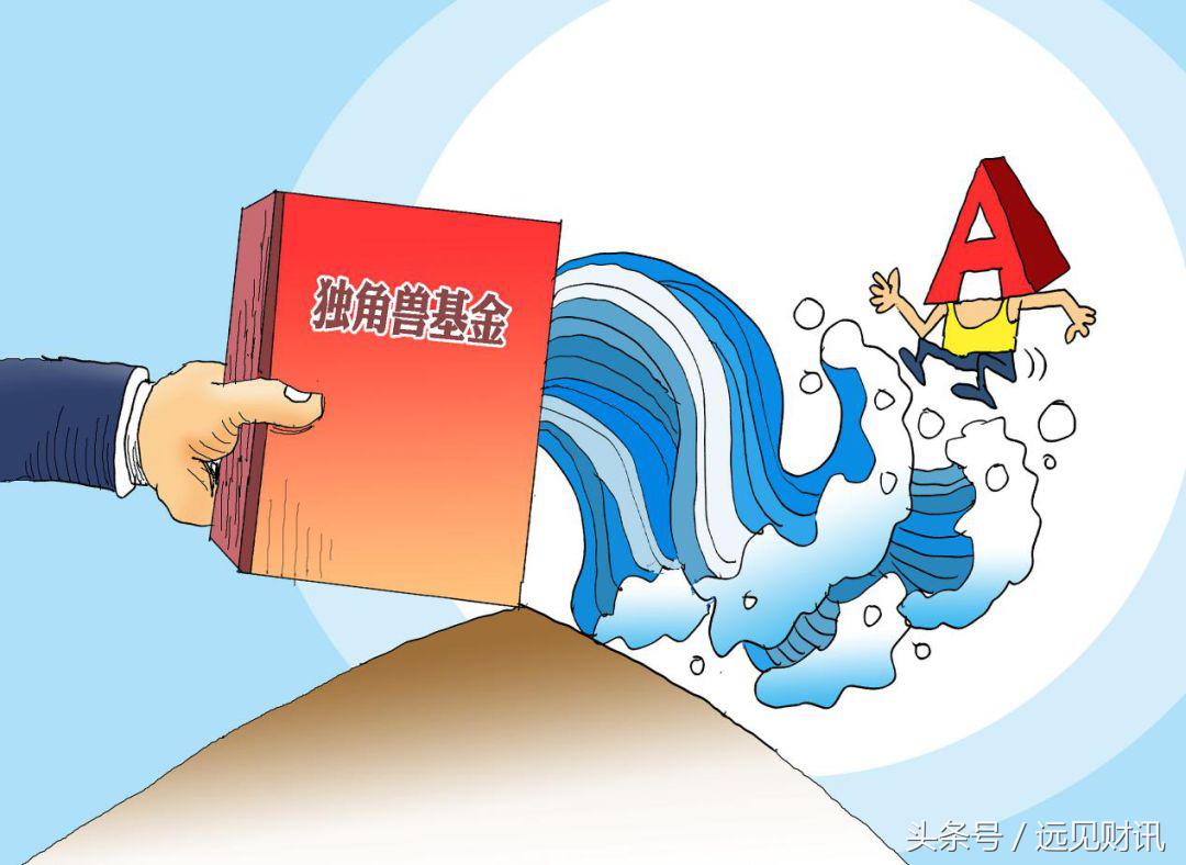 独角兽基金三年回报率,独角兽基金募集了多少