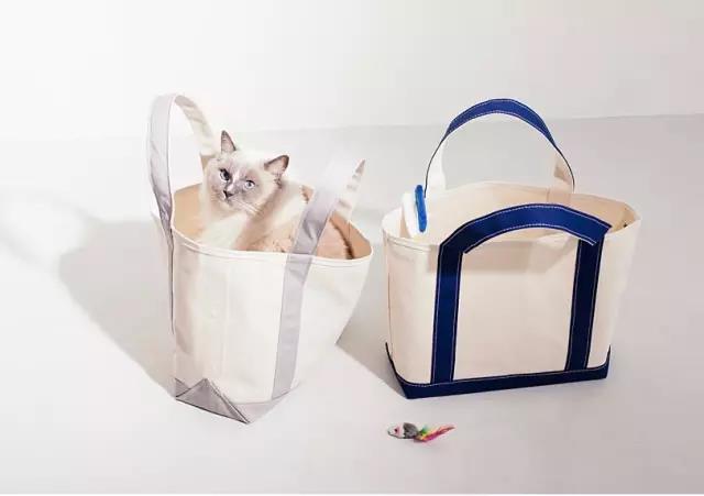 好看又时尚的帆布包,好看实用的帆布包回头率满满