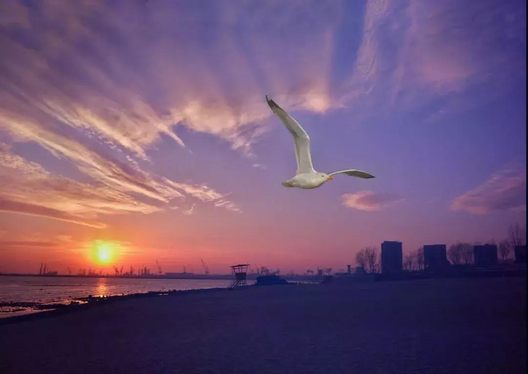 有人评论谁给你拍的照片,你拍的视频有人点赞吗