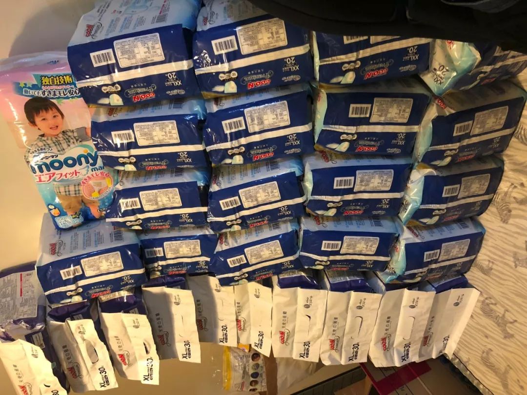 当代人的第十三个属相:松鼠