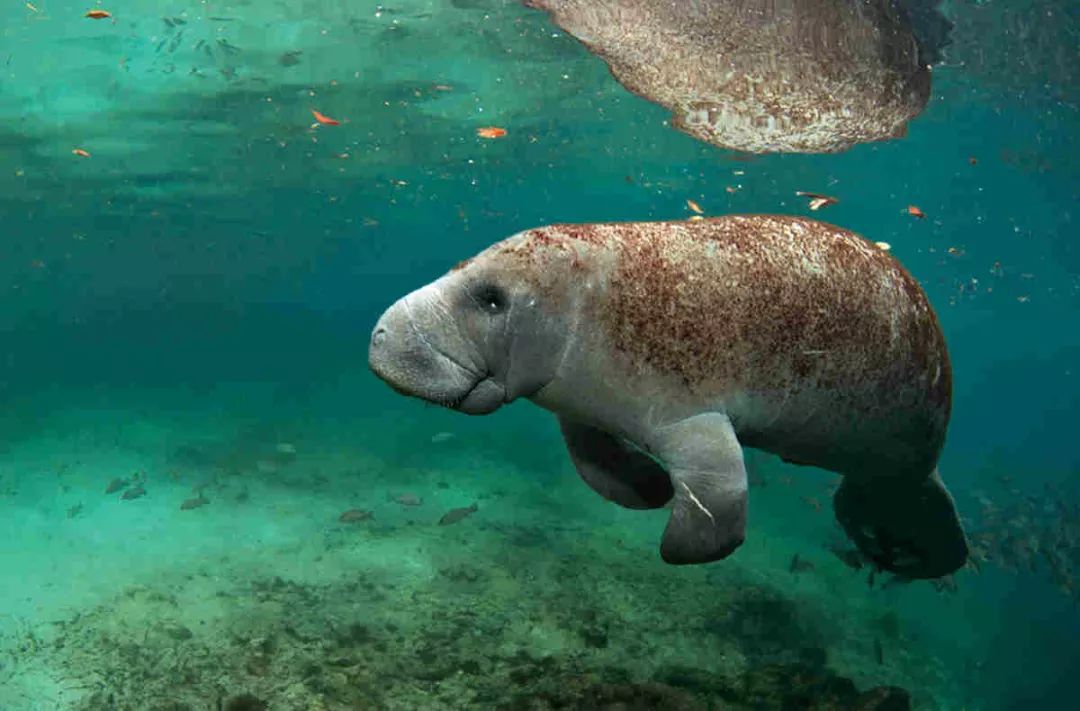 岛国名叫“星期天”，果然很懒很悠闲