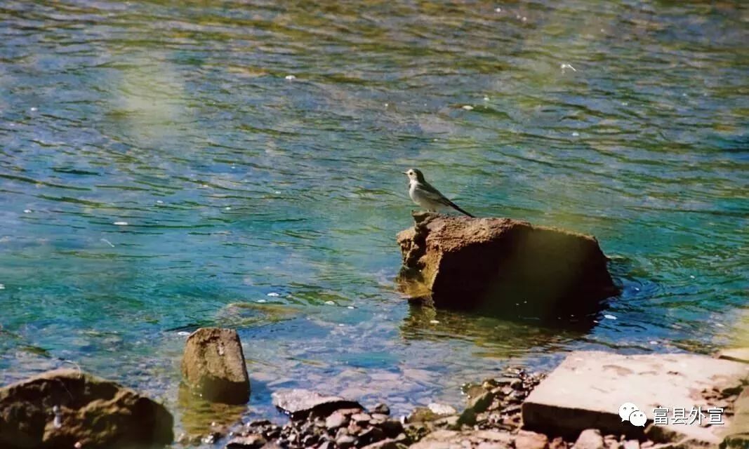 富县与富平是一个地方吗,富县是个好地方手抄报