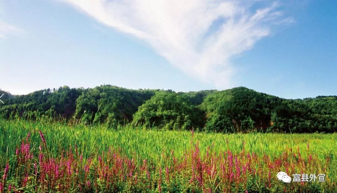 富县与富平是一个地方吗,富县是个好地方手抄报
