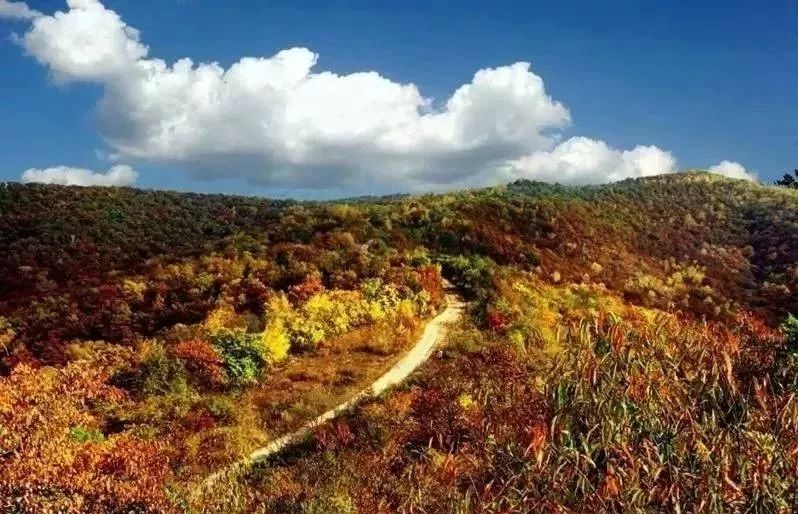 富县与富平是一个地方吗,富县是个好地方手抄报