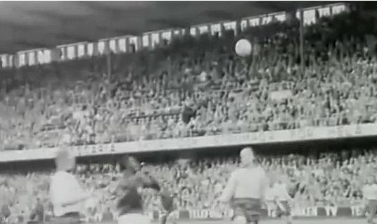 1962世界杯贝利数据,世界杯一百零八将