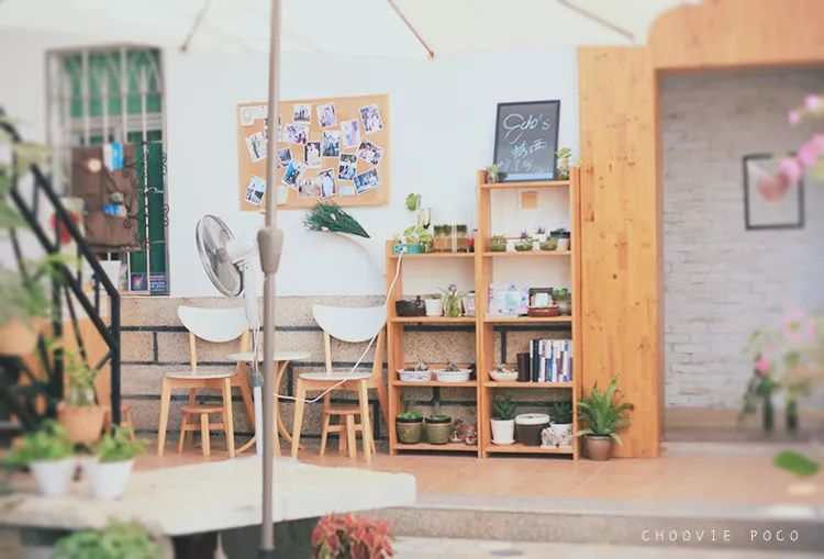 这个夏天我们再邂逅一次厦门吧,这个夏天想跟你再去一次厦门