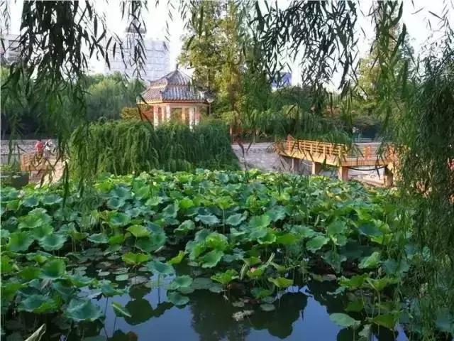 郑州周边夏天好玩的景点,郑州夏天旅游攻略景点必去