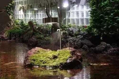 郑州周边夏天好玩的景点,郑州夏天旅游攻略景点必去