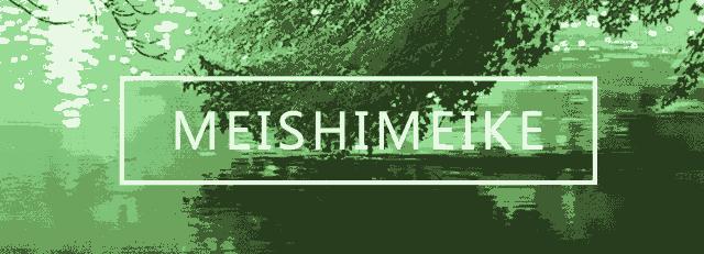 pola精华适合什么肤质,pola精华液