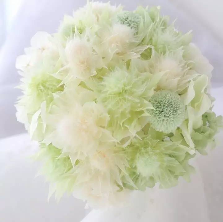 永生花注意事项图,永生花的鉴别方法