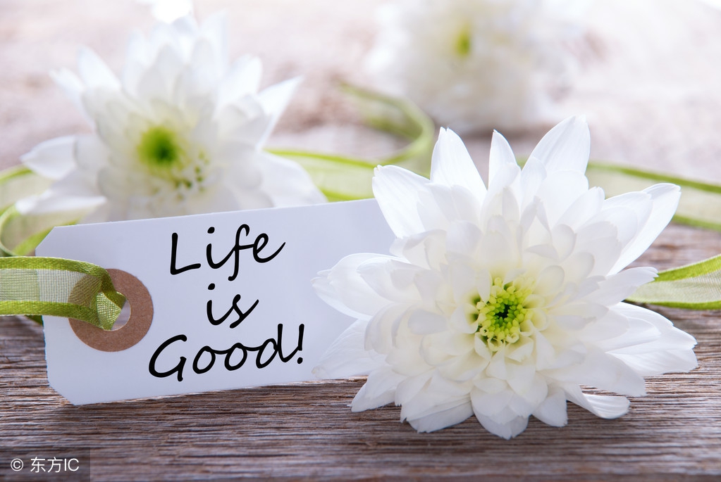 中国股市深陷血洗风波,中国股市血亏百万老股民血泪史