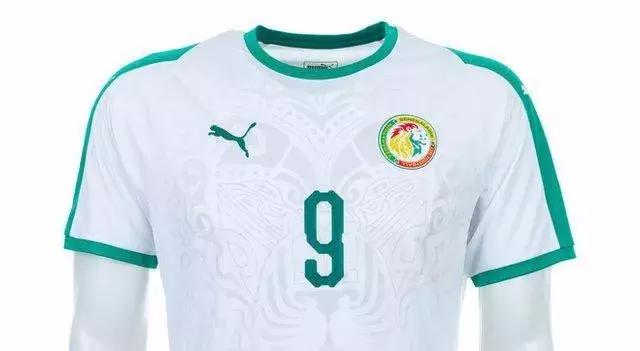 2018俄罗斯世界杯最酷的球衣,2018年俄罗斯世界杯球衣