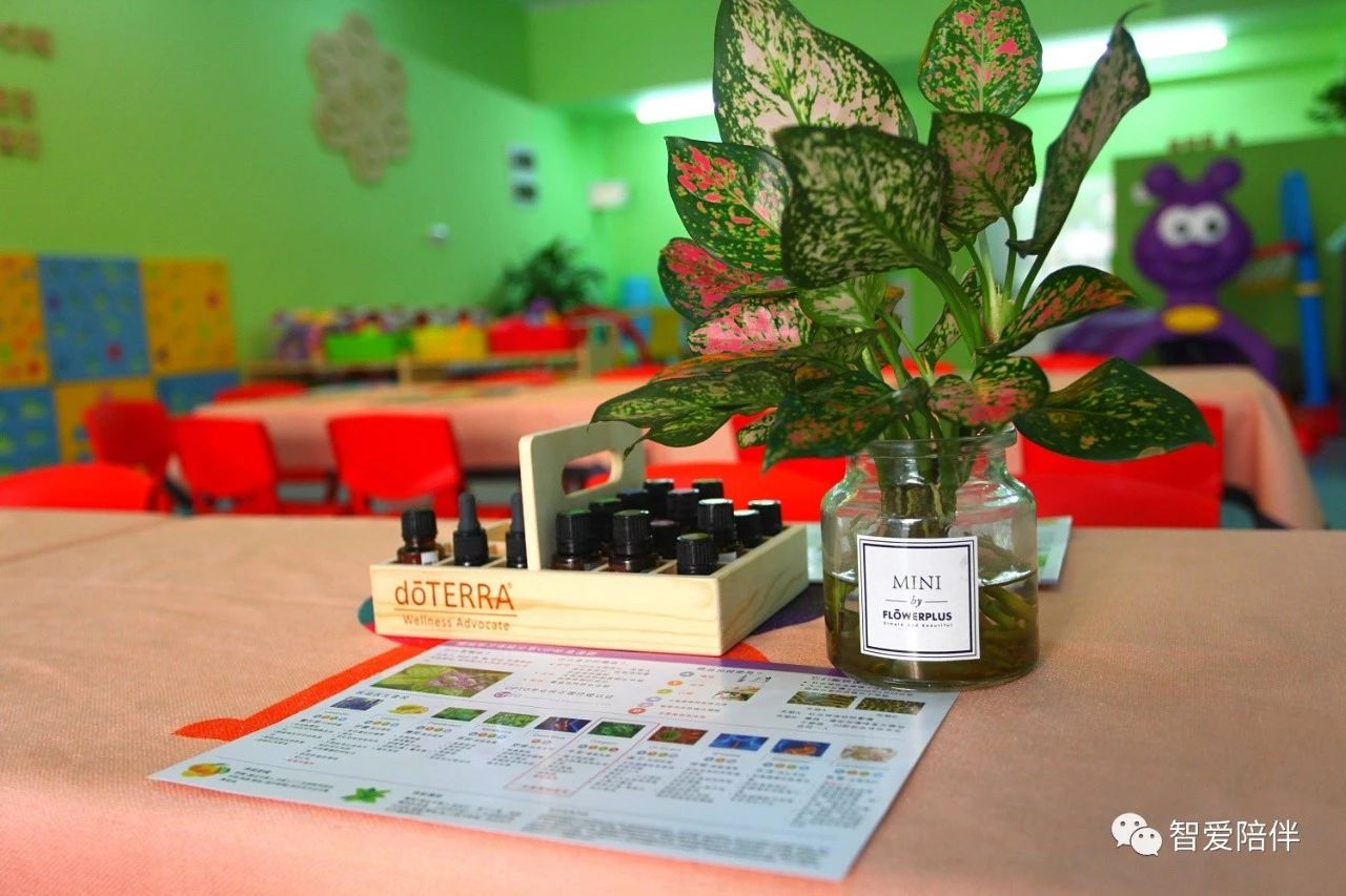 南宁早教体验课,南宁儿童早教项目好做吗