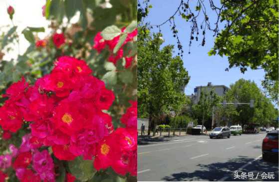 锤子坚果r1和小米mix3哪个好,锤子科技最新旗舰手机坚果r1发布