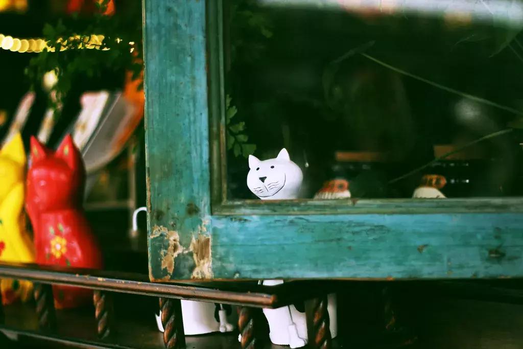 这个夏天总要来一趟浪漫的厦门,这个夏天再和你去一次厦门