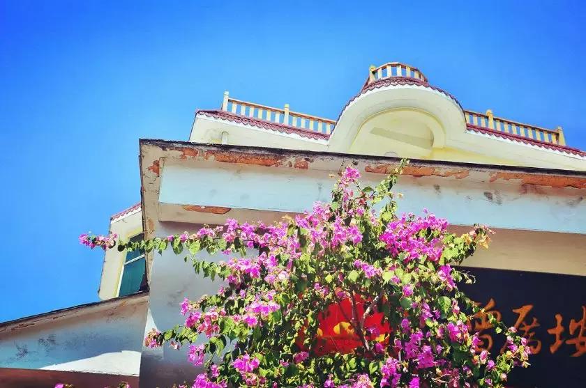 这个夏天总要来一趟浪漫的厦门,这个夏天再和你去一次厦门