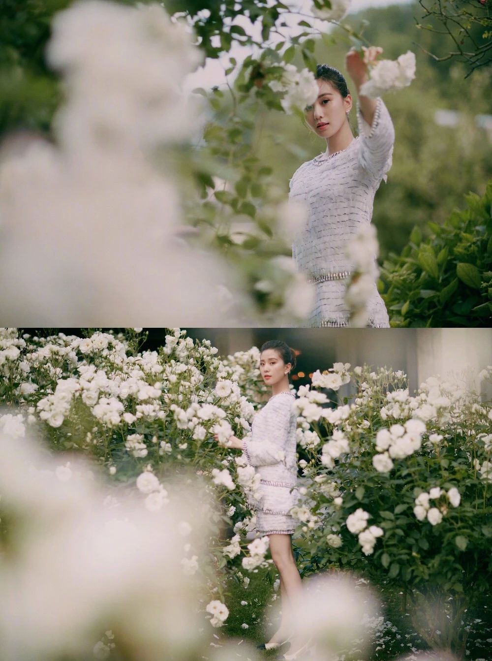 当刘诗诗遇见CHANEL，是仙女本人下凡了吧？