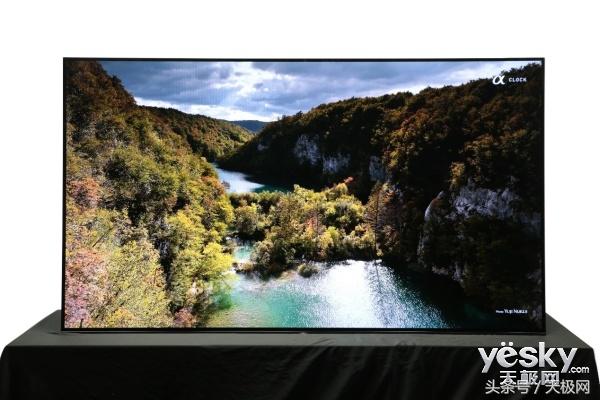 世界杯伪球迷看球,世界杯伪球迷观赛宝典