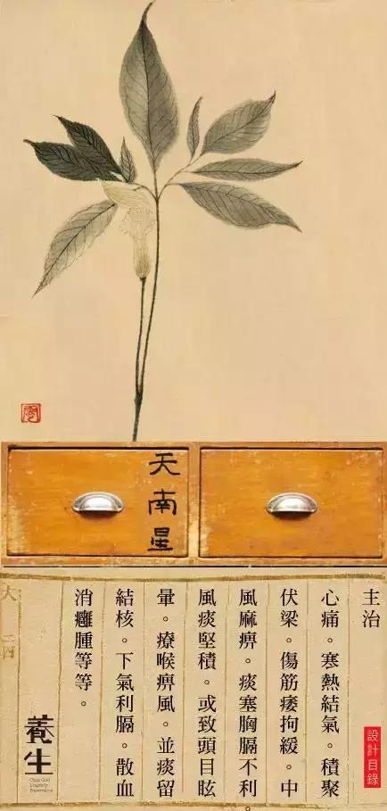 中药原来的一两是现在的多少,中药原来的6分现在是多少克