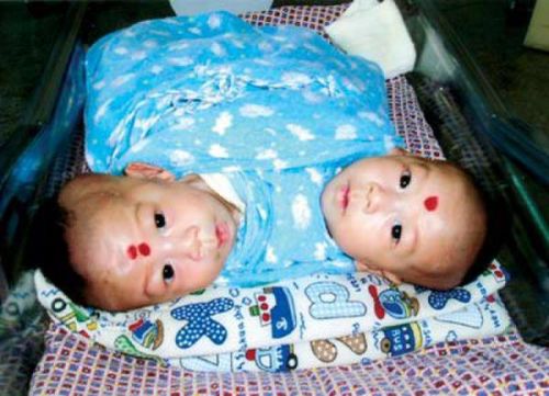 生两个女儿很开心,生两个孩子是希望他们互相陪伴