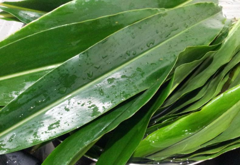 包粽子简单六步例文,手把手教你简单的粽子包法