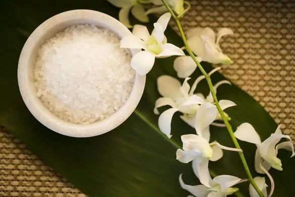 stay旅行者,stay旅行